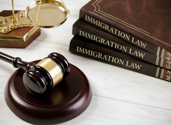 Employment and Immigration Law